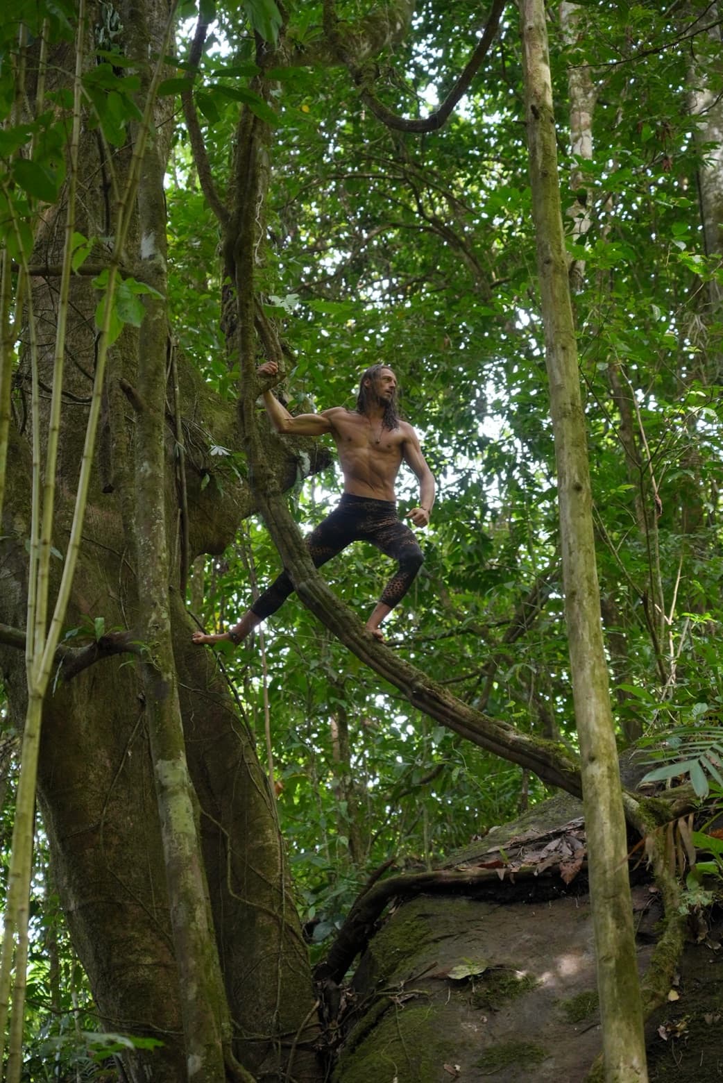 Climbing a liana in the jungle canopy